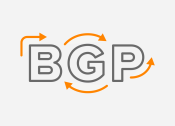 BGP 的封面